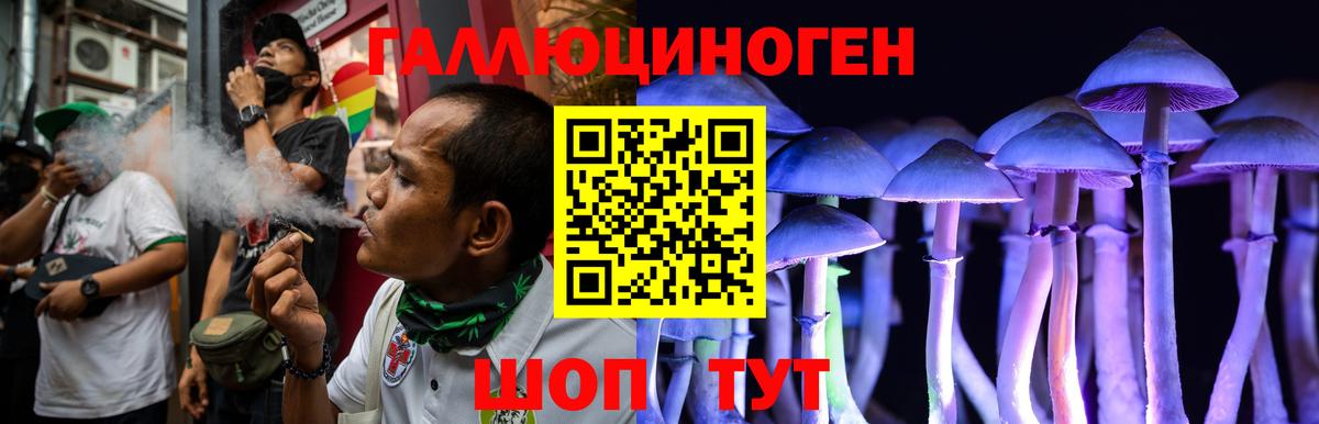 Псилоцибиновые грибы Psilocybe Краснокаменск